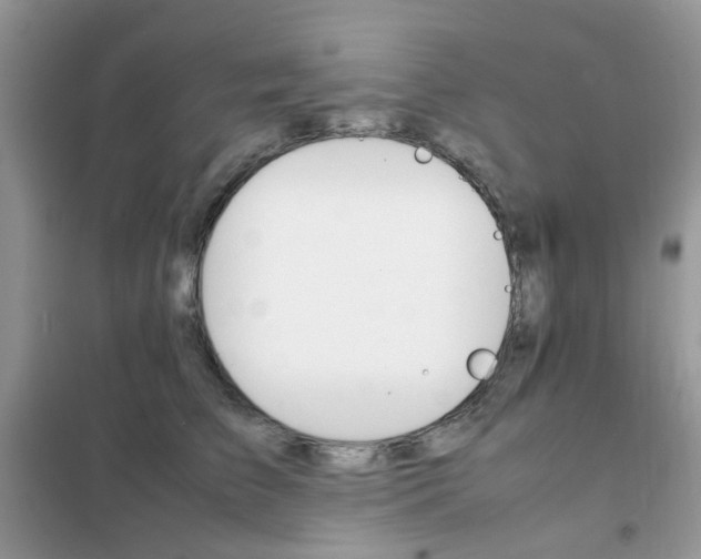 X0000102340709200808010913