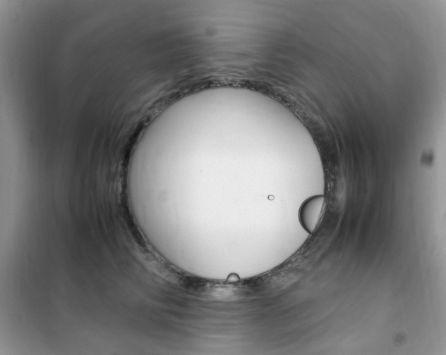 X0000102340710200808010913