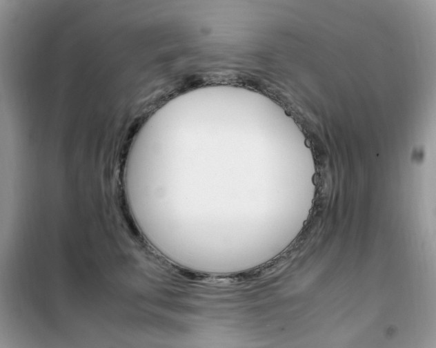 X0000102340711200808010913