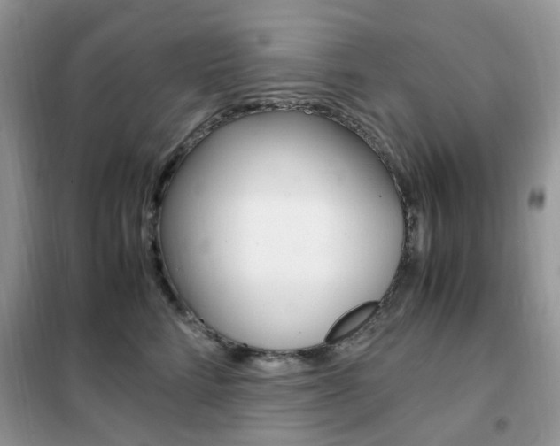 X0000102340712200808010913