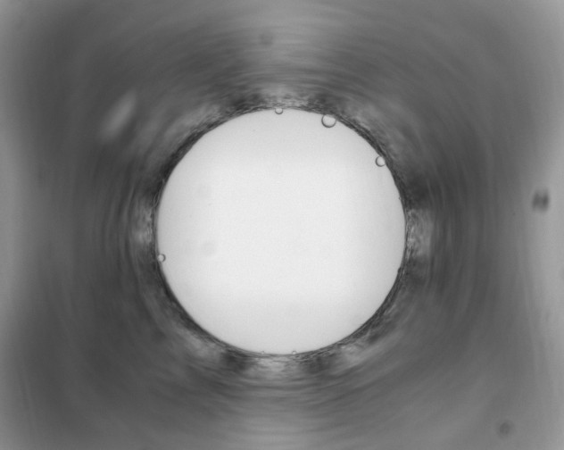 X0000102340713200808010913
