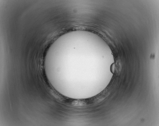 X0000102340714200808010913