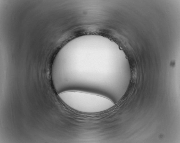 X0000102340715200808010912
