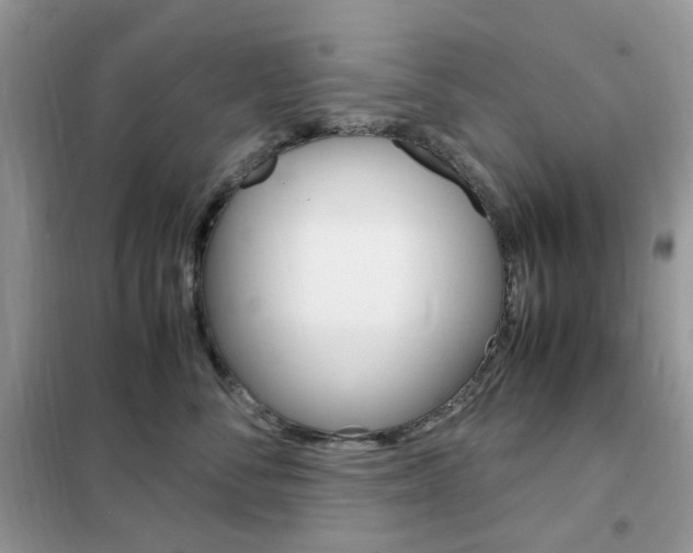 X0000102340716200808010912