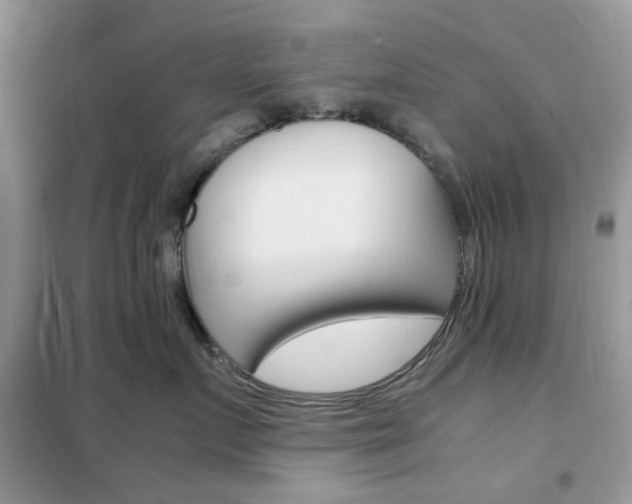 X0000102340719200808010912