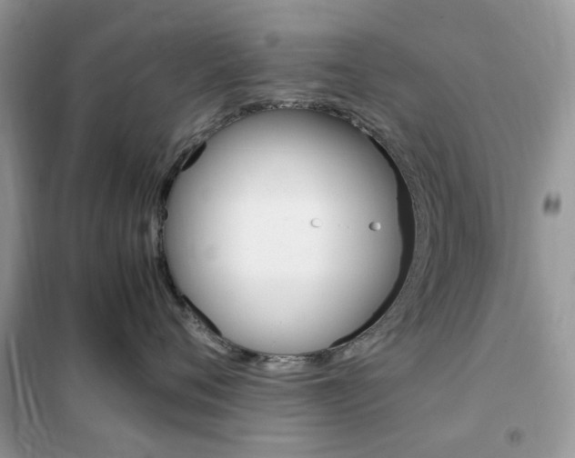 X0000102340720200808010912