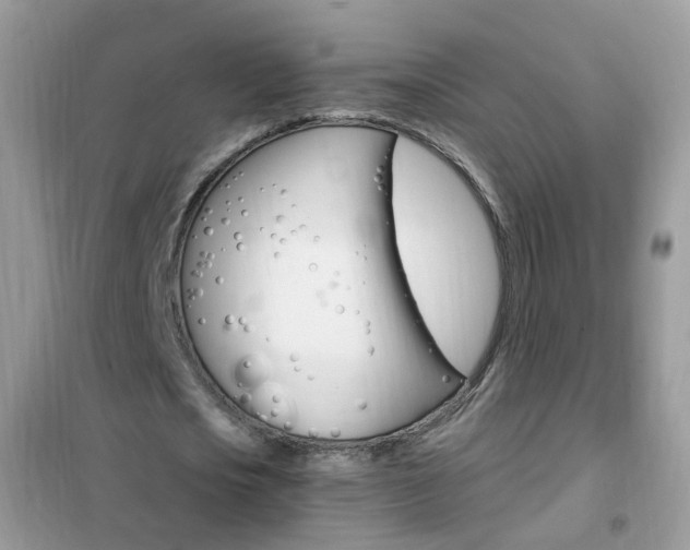 X0000102340721200808010912