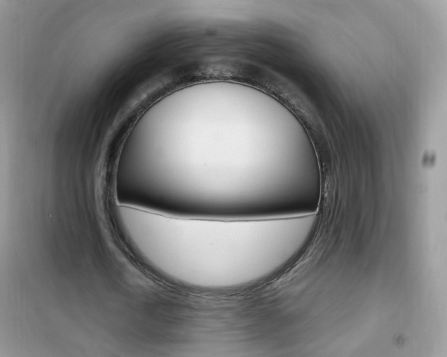 X0000102340722200808010912