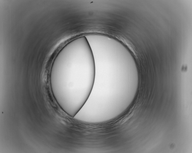 X0000102340723200808010912