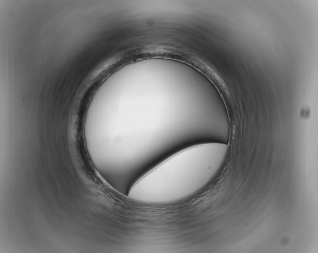 X0000102340724200808010912