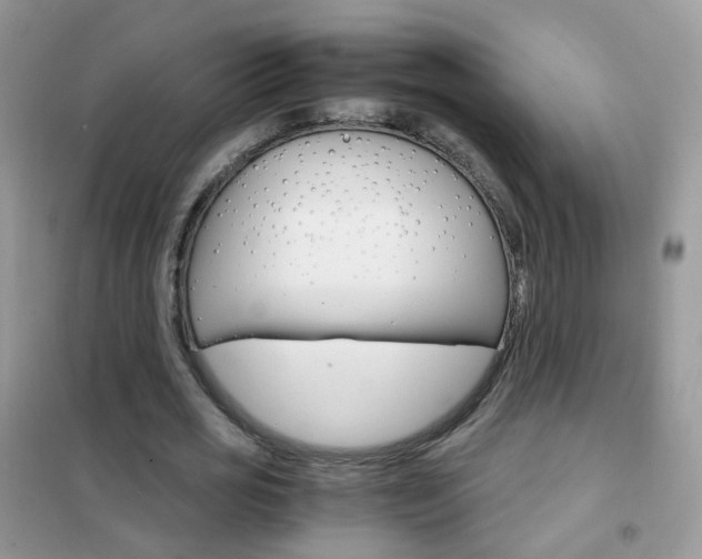 X0000102340725200808010912