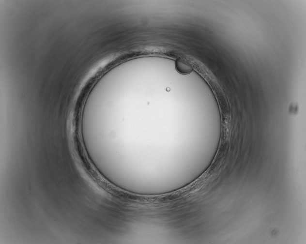 X0000102340726200808010912