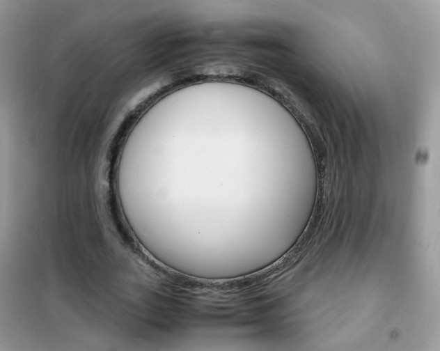 X0000102340727200808010912