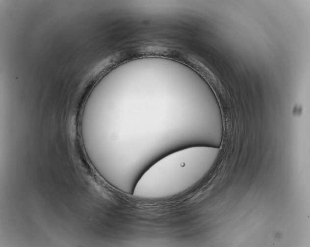 X0000102340729200808010912