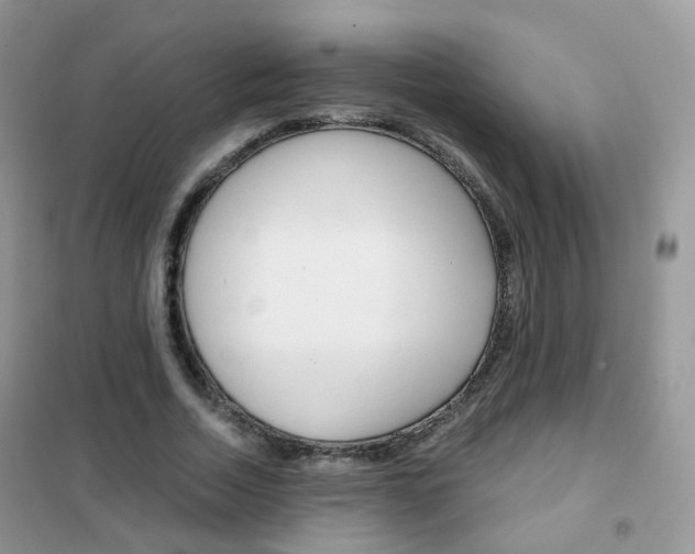 X0000102340730200808010912