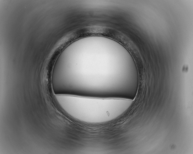 X0000102340731200808010912
