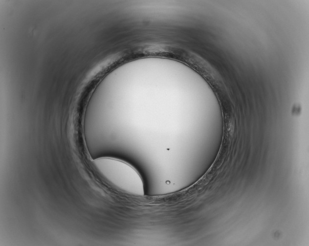 X0000102340732200808010912