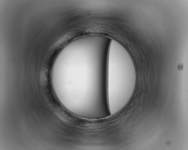 X0000102340735200808010912
