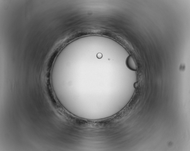 X0000102340736200808010912
