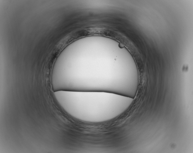 X0000102340737200808010912