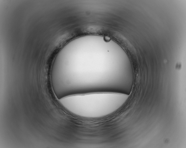 X0000102340739200808010912