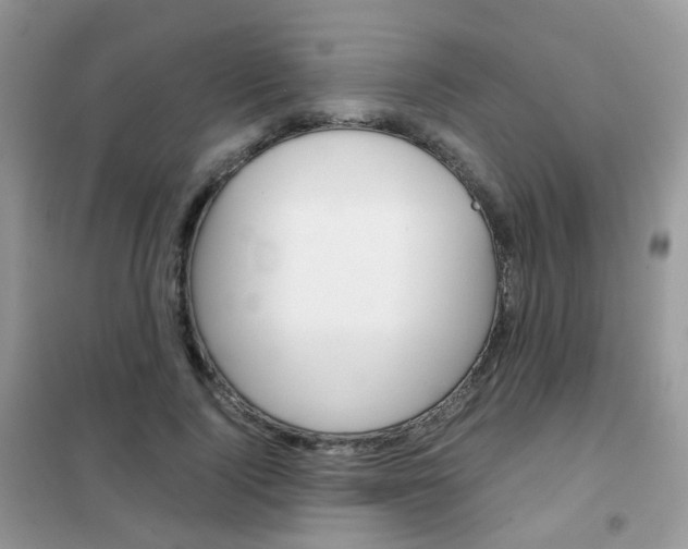 X0000102340740200808010912