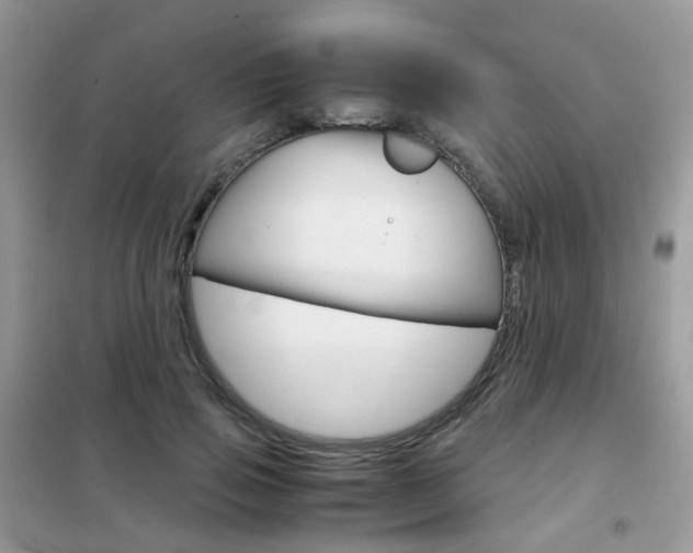 X0000102340741200808010912