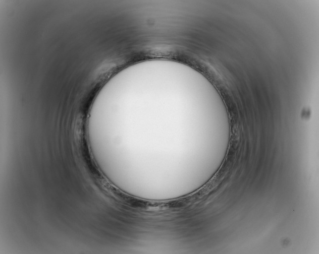 X0000102340744200808010912