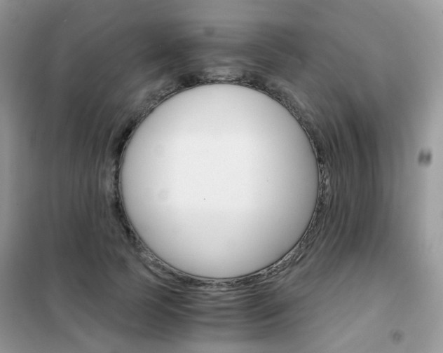 X0000102340745200808010912
