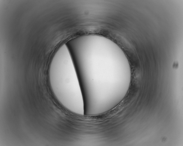 X0000102340746200808010912