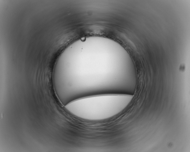 X0000102340747200808010912