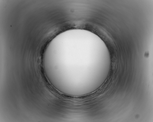 X0000102340748200808010912