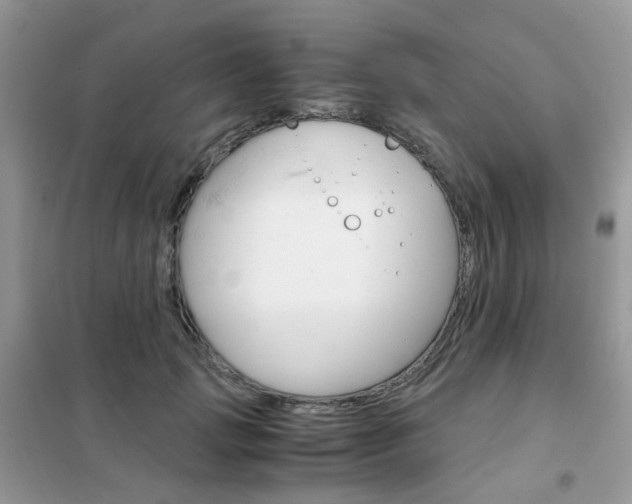 X0000102340749200808010912