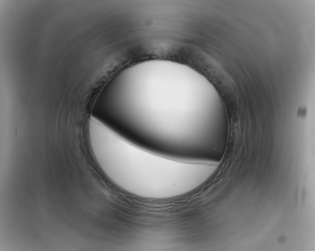 X0000102340750200808010912