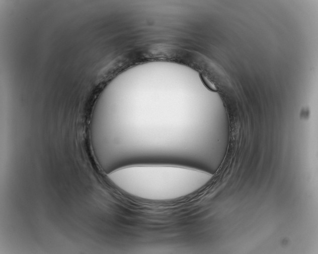 X0000102340751200808010912