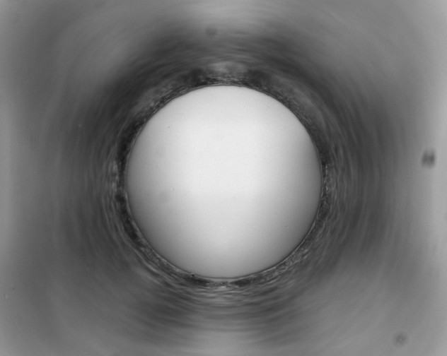 X0000102340752200808010912