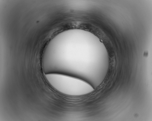 X0000102340754200808010912