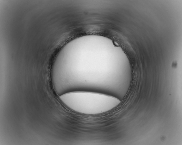 X0000102340755200808010912