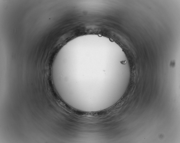 X0000102340756200808010912