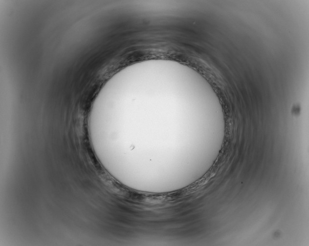 X0000102340757200808010912