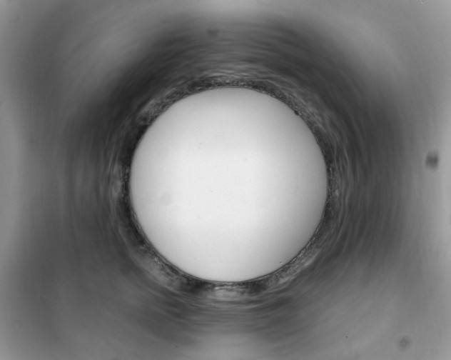 X0000102340758200808010912