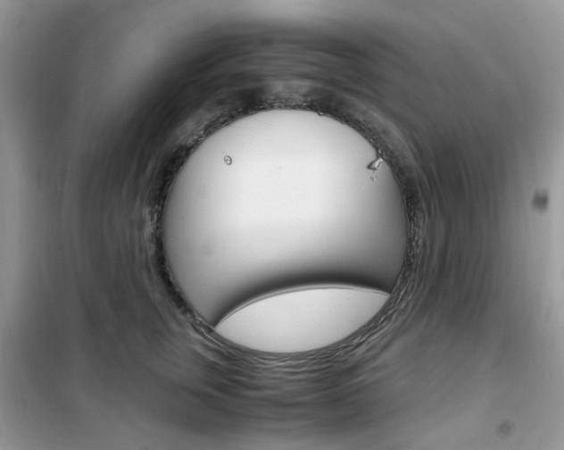 X0000102340759200808010912
