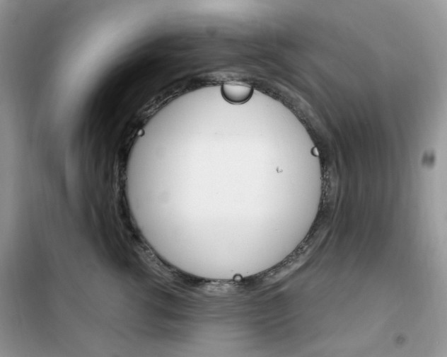 X0000102340762200808010912