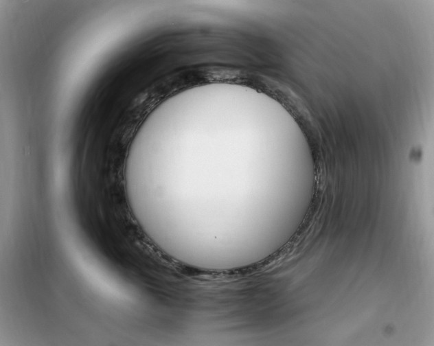 X0000102340763200808010912