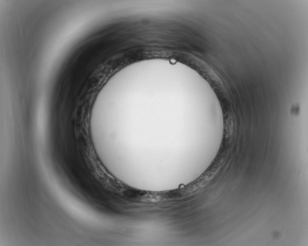 X0000102340764200808010912