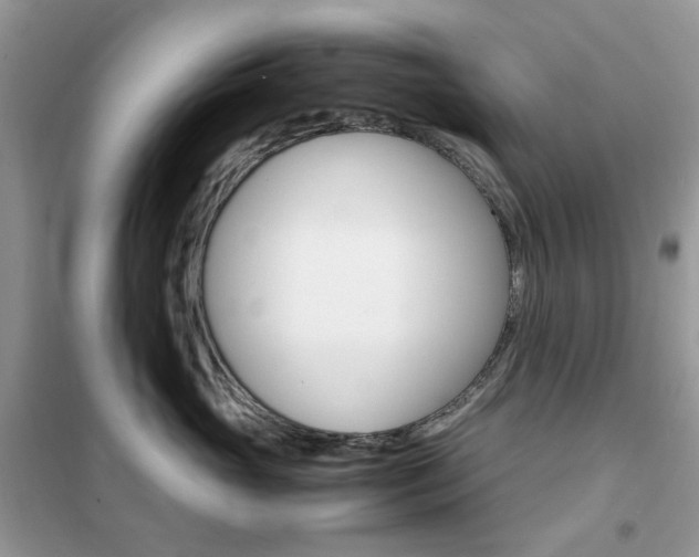 X0000102340765200808010912