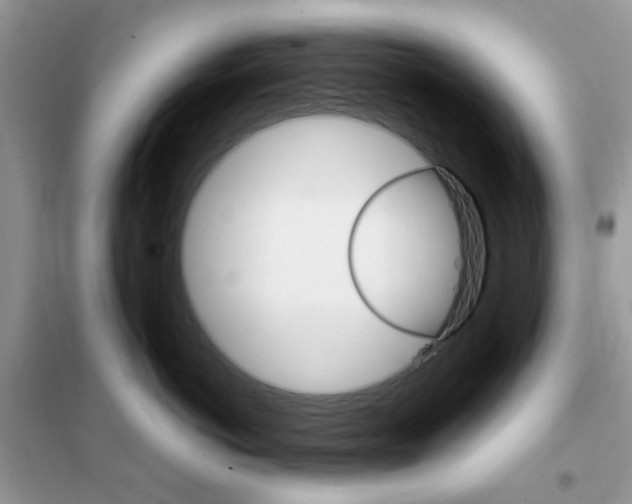 X0000102340766200808010912