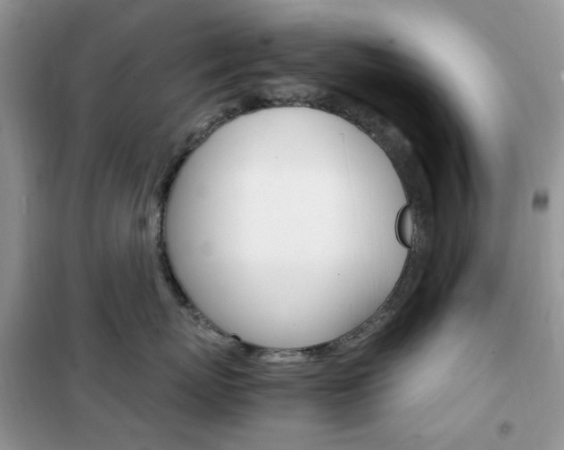 X0000102340767200808010912