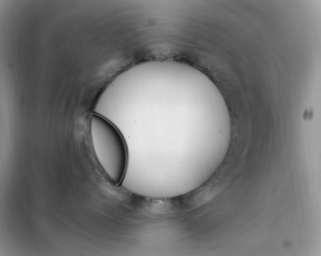 X0000102340768200808010912