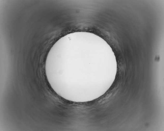 X0000102340769200808010912